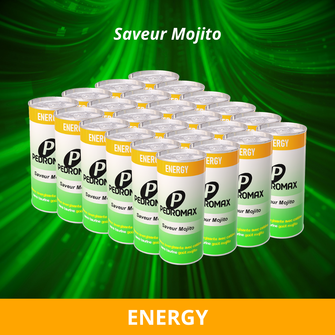 PEDROMAX SAVEUR MOJITO 24 x 250 ml
